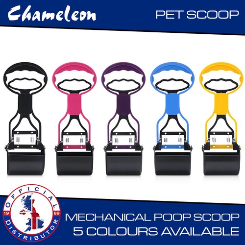 Poop scoop pet dog - scoop, waste